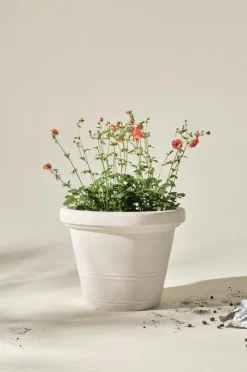 Outlet AMY Ulkoruukku, Halkaisija 60 Cm Ulkoruukut|Ruukut