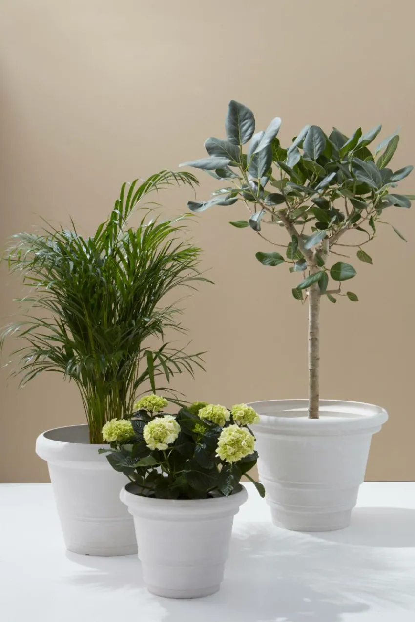 Outlet AMY Ulkoruukku, Halkaisija 60 Cm Ulkoruukut|Ruukut
