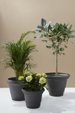 Store AMY Ulkoruukku, Halkaisija 60 Cm Ulkoruukut|Ruukut