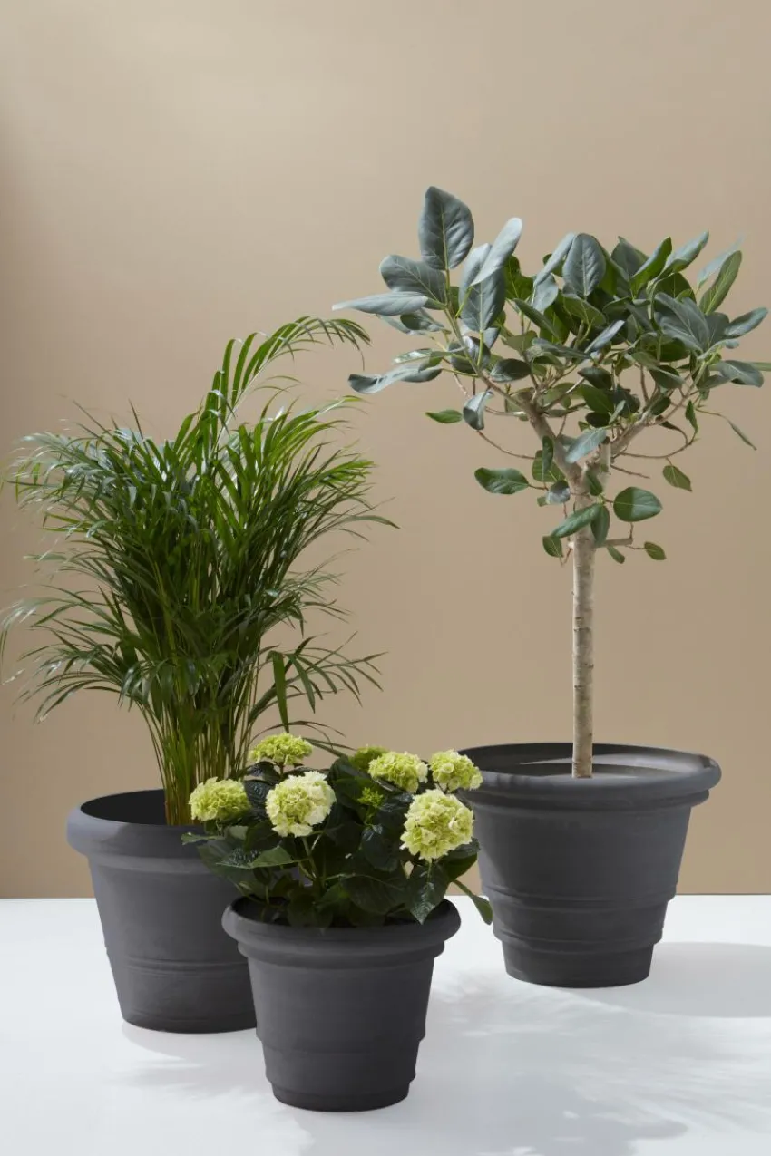 Store AMY Ulkoruukku, Halkaisija 60 Cm Ulkoruukut|Ruukut
