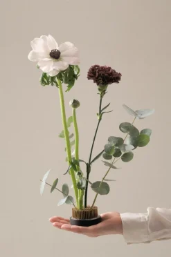 Outlet FIORE Kukkasiili ø 6 Cm Ruukut|Maljakot