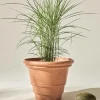 Best Sale HOLLY Ulkoruukku, Halkaisija 56 Cm Ulkoruukut|Ruukut