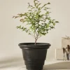 Shop HOLLY Ulkoruukku, Halkaisija 56 Cm Ulkoruukut|Ruukut