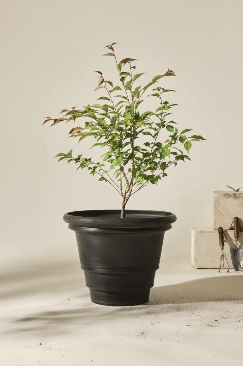Shop HOLLY Ulkoruukku, Halkaisija 56 Cm Ulkoruukut|Ruukut