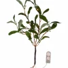 Store Koristeoksa Misteli 35 Cm Jouluvalot