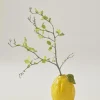 Cheap LIMONE Maljakko - Korkeus 19 Cm Maljakot