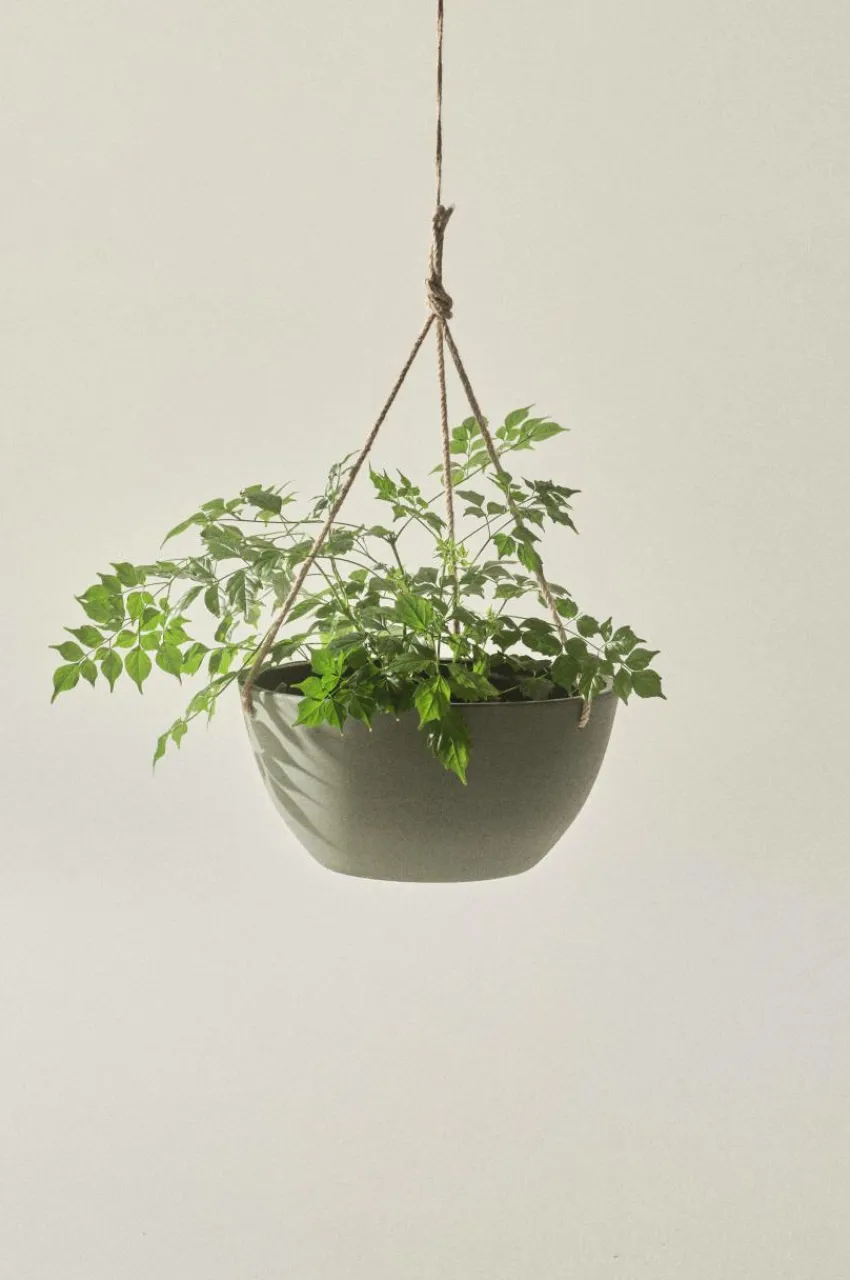 Discount MARK Ripustettava Ruukku ø 31 Cm Ulkoruukut|Ruukut