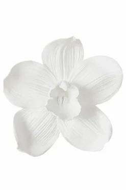 Flash Sale ORCHID Seinäkoriste Iso Seinäkoristeet