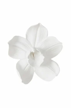 Hot ORCHID Seinäkoriste Keskikokoinen Seinäkoristeet