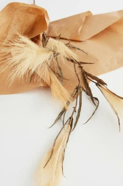 Outlet PAMPAS WIND, 1 Oksa Maljakot