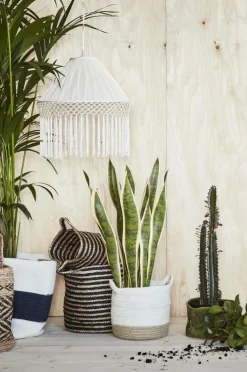 Cheap SALLE Säilytyskorit, 2 Osaa Säilytys|Säilytys