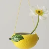 Fashion SOUR Amppeli Ruukut