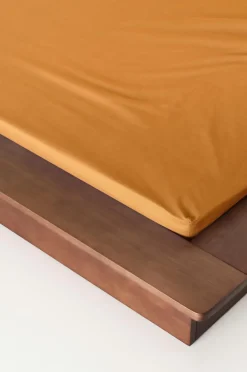 Clearance ZACK PERCALE Kuminauhalakana - Ekologinen Kuminauhalakanat