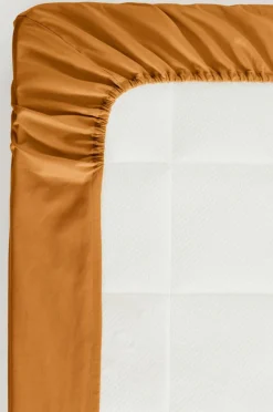 Clearance ZACK PERCALE Kuminauhalakana - Ekologinen Kuminauhalakanat